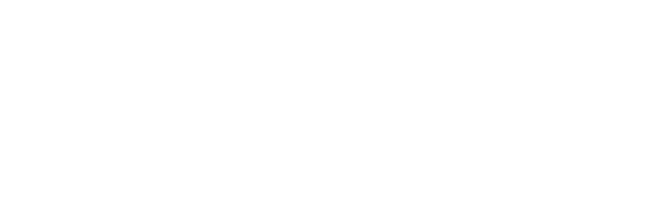 Palladium Talent